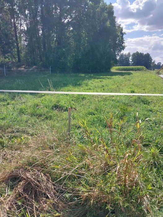 Działka 1,07 ha -spokojne miejsce na dom,blisko lasu nad rzeka Krzną