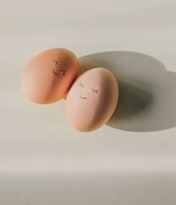 Яйце інкубаційне мясояїчка:Мастер, Редбро, Голошийка