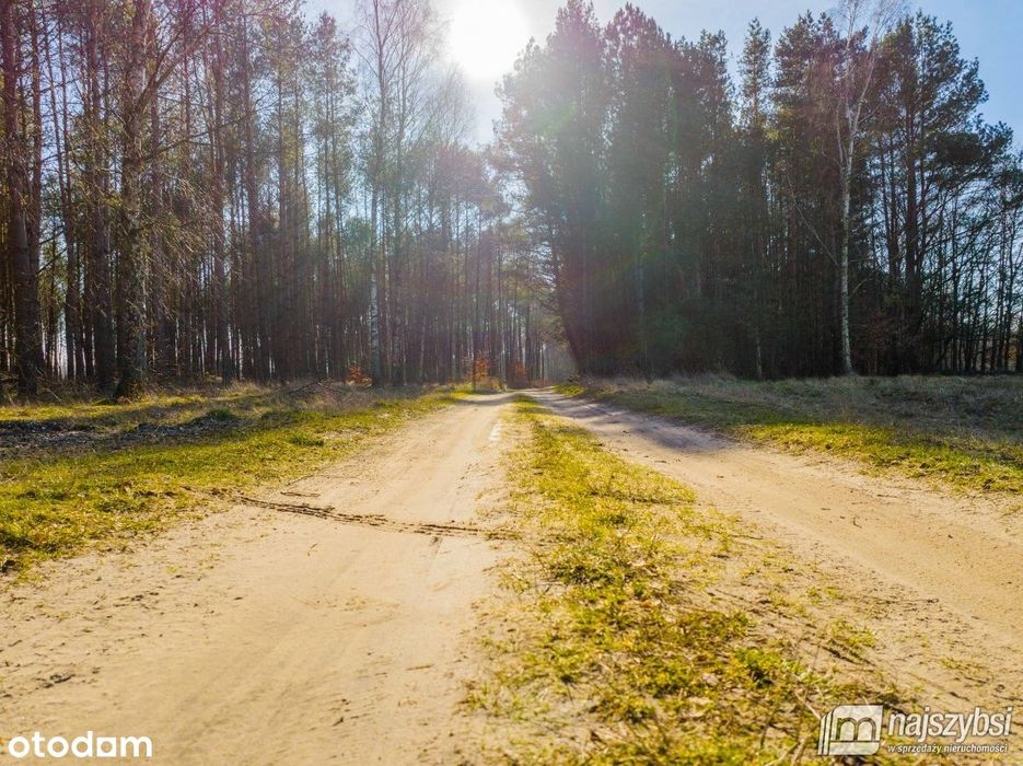 Domysłów- działka nad jeziorem 5 km od morza - Widok 4