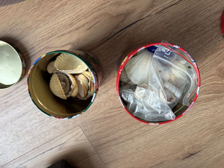 Muszelki z pojemnikami