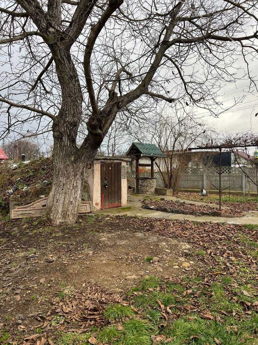 Продаж будинку + земельна ділянка в с.Березівка