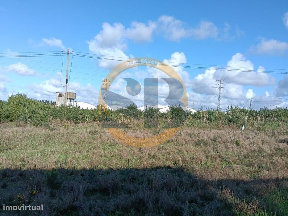 Terreno Construção Venda Ovar