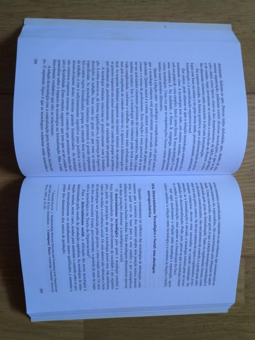 Teoria Organizacional: Estruturas e Pessoas