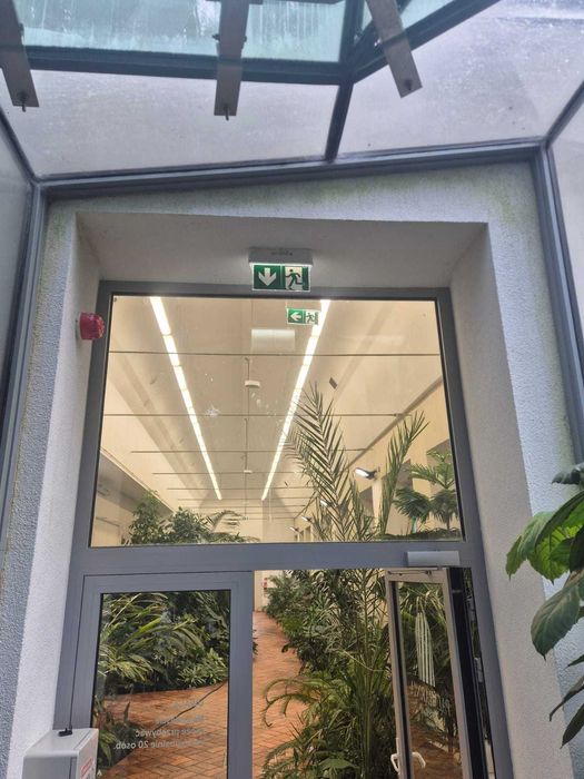 Oświetlenie wegetatywne, przemysłowe do wzrostu roślin