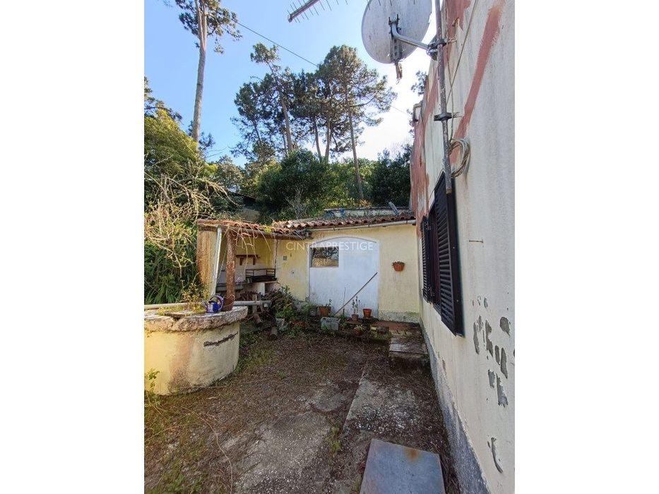 Casa implantada em terreno de 2200 m2 em pleno Pinhal de Colares
