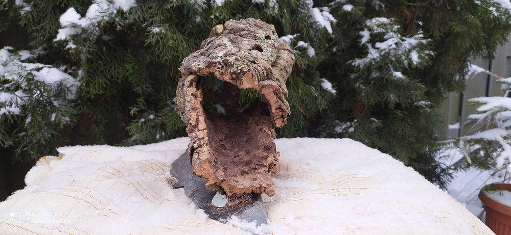 Grota z debu korkowego do terrarium