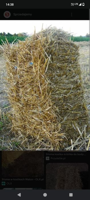 Słoma w kostkach tegoroczna