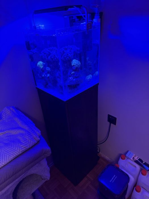 Akwarium morskie 49l