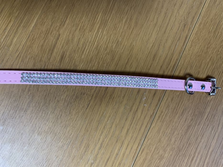 Coleira rosa com brilhantes para cao pequeno nova
