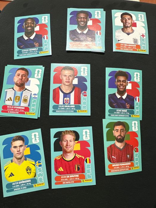 Panini mundial 2026