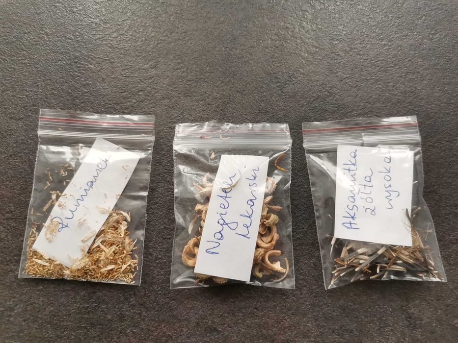 Nasiona kolekcjonerskie kwiatów i ziół.
