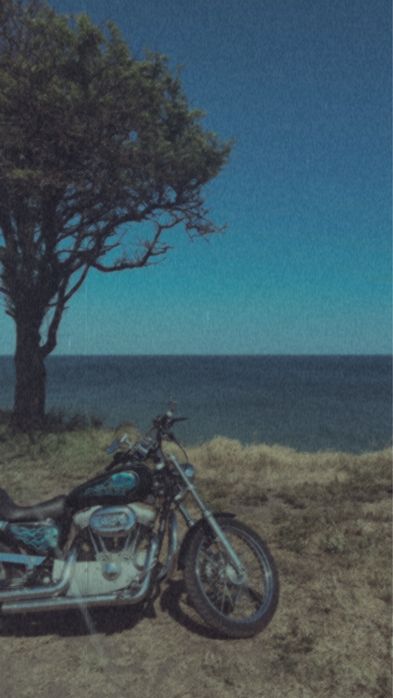 Harley-Davidson Sportster XL 883