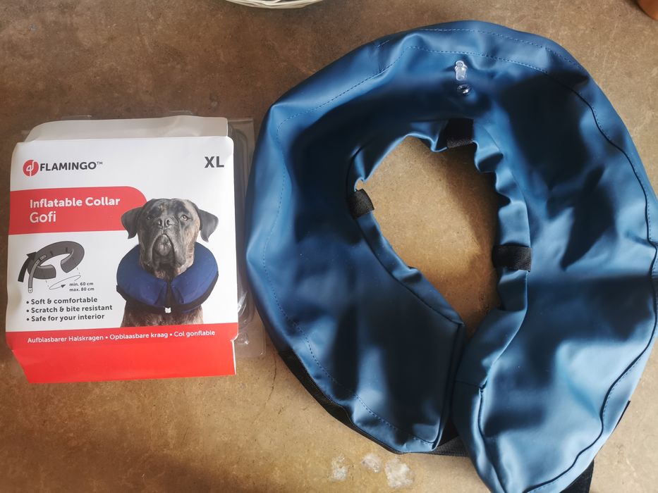 Colar para cão insuflável