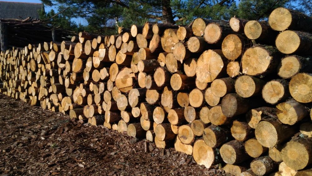 Opał Drzewo Grube ,mieszane Grube sosna