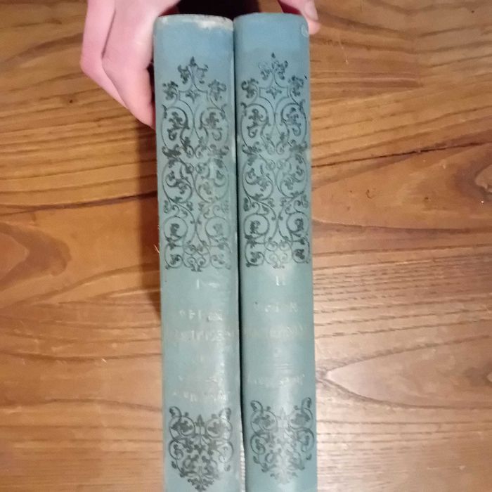 Jules Mary, O regimento 145 (2 volumes encadernados)