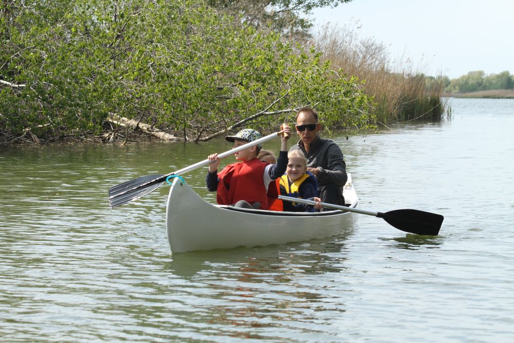 Пирога ( стеклопластик)+ 2 весла