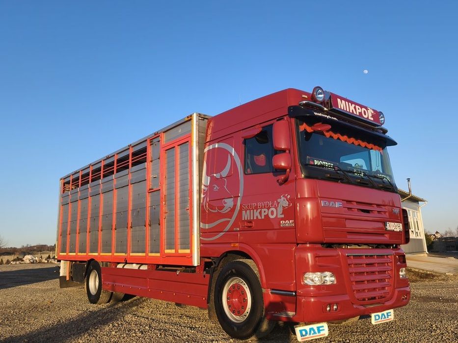 DAF
