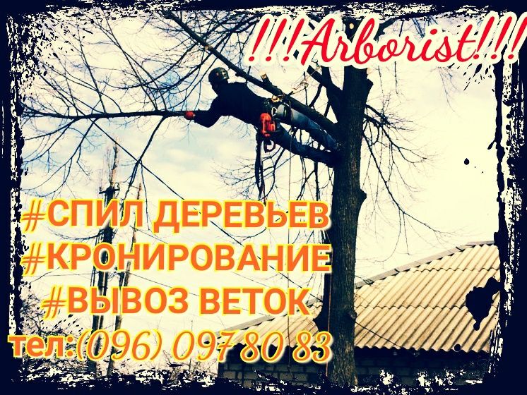 Спил Деревьев Любой Сложности
