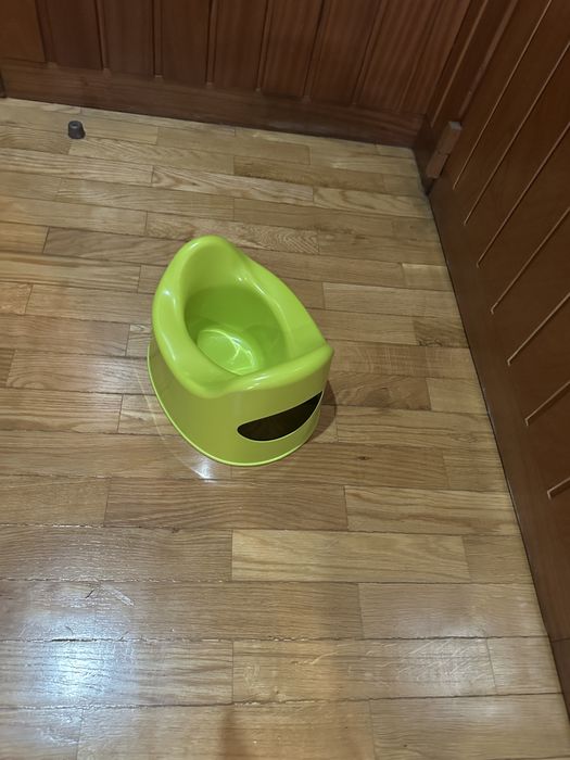 Pote criança como novo