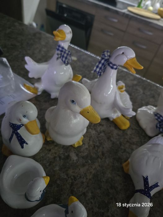 Zestaw kaczek ozdoba