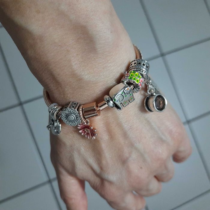 Charms, Pulseiras, Argolas, Anel prata S925