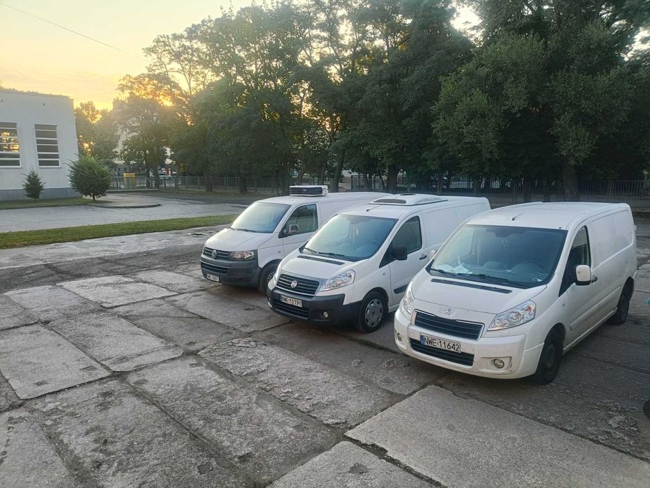 Wynajem Chłodnia/Mroźnia 8ep 7ep bus dostawczy winda