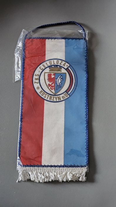ZKS Ceuloza Kostrzyn nad Odrą