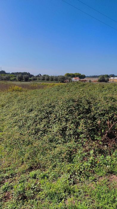 Terreno para venda