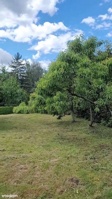 Rezerwacja - Gospodarstwo | 2,30 ha | Rudziczka k. Prudnika