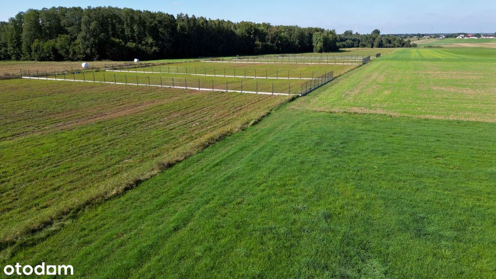 Działki budowlane przy lesie z WZ, 20 minut od Ostrowi Mazowieckiej - Widok 6