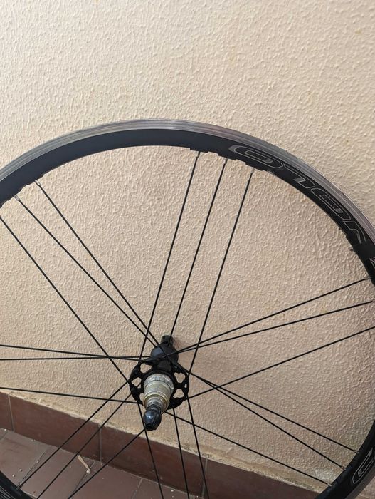 Rodas de ciclismo 28" campagnolo Zonda