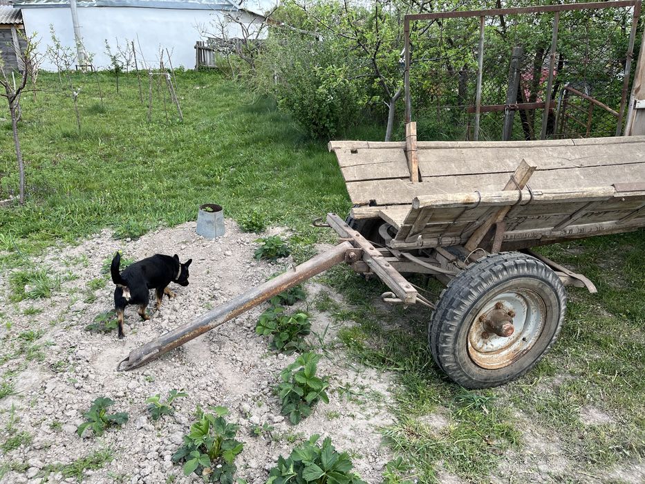 Продам віз, прицеп