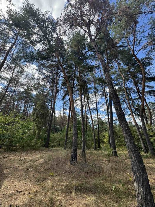 Продається земельна ділянка 1,5 га Китайгород Дніпропетровської обл