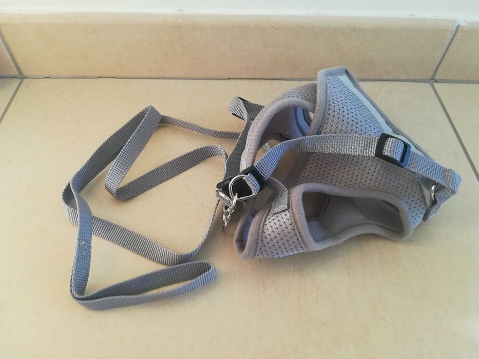 Peitoral + Trela NOVOS para Gato/a ou Cão/Cadela