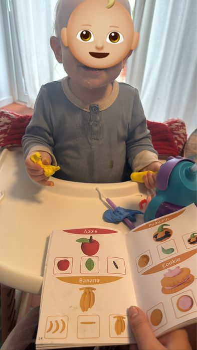 Ama/Babysitter  Premium Coimbra