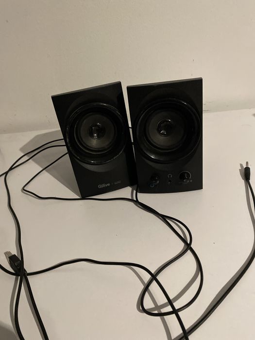 Głośnik o marce qiliwe