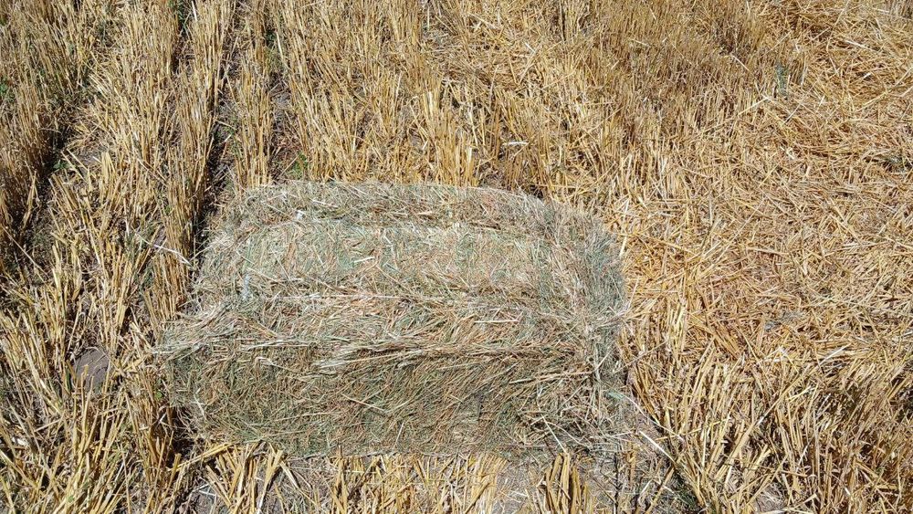 Продам Сіно і солома
