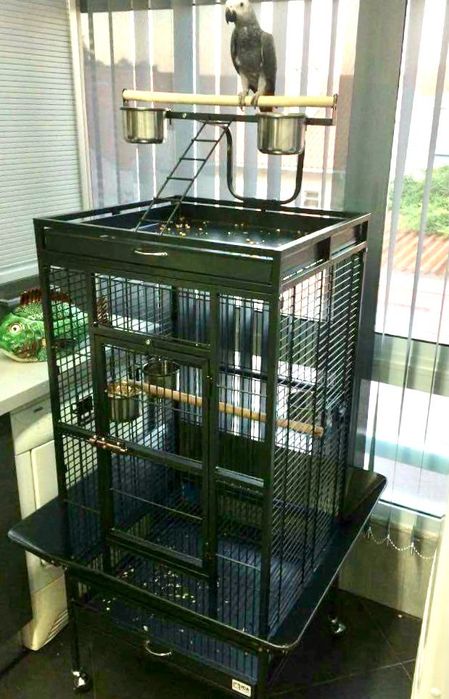 Gaiola Parque - Papagaio 61 x 56 x 156 cm