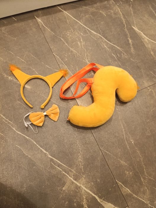 Przebranie wiewiórki