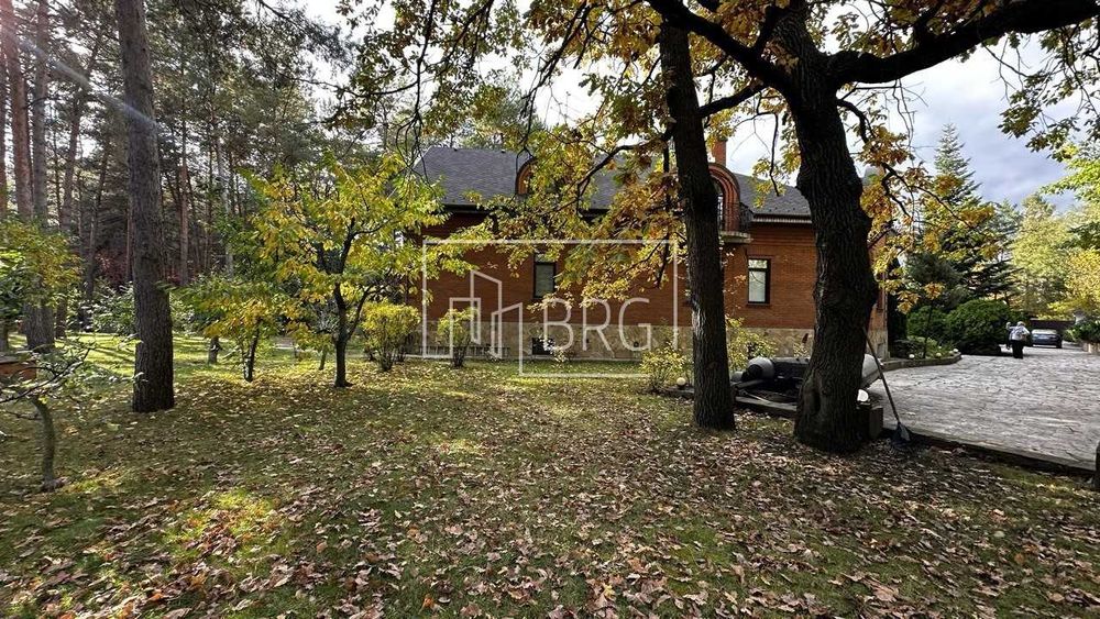 Продажа участка в сосновом лесу 52 сотки Козин Пятихатки без комиссии