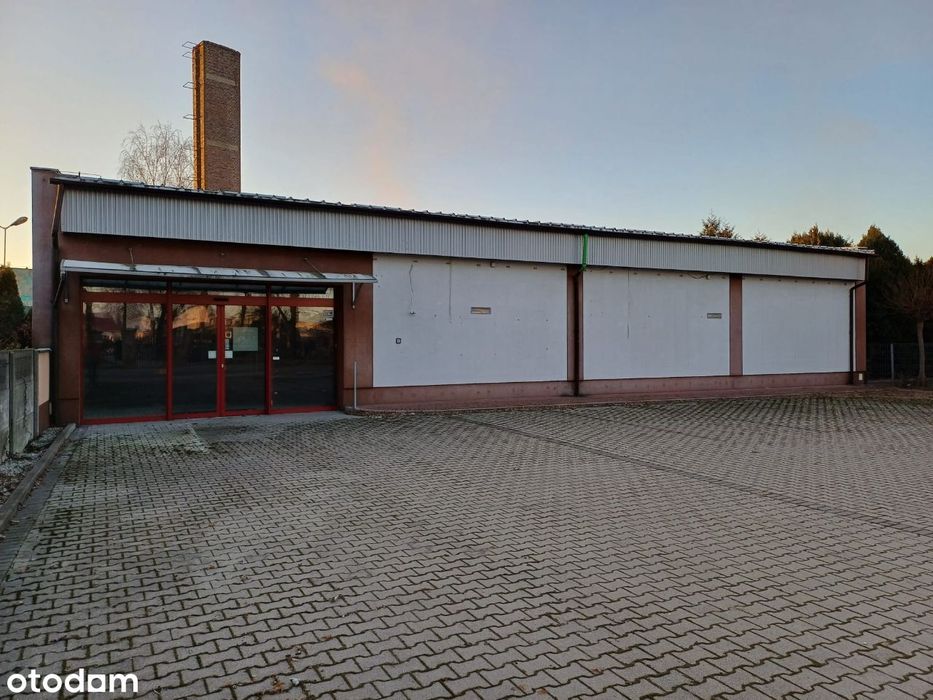 Sprzedaż lub wynajem lokalu użytkowego, Kamieniec