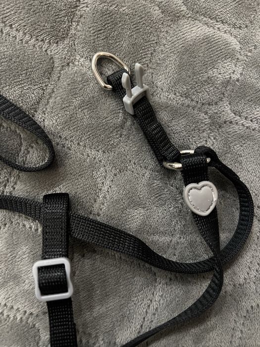 Повідок для кота Trixie