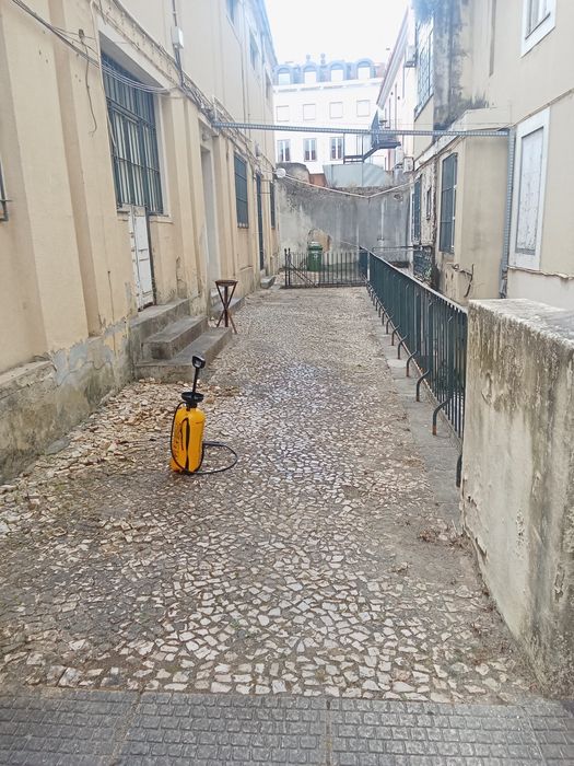 Limpeza de quintais,  logradouro e terrenos em Lisboa