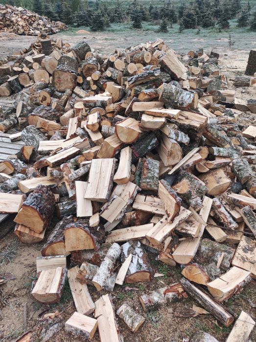 Drewno kominkowe i opałowe
