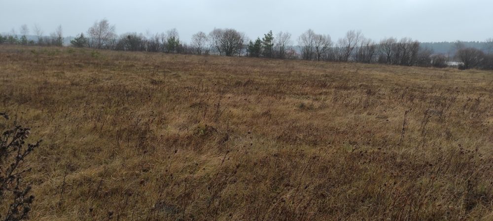 Земельна ділянка село Забороль