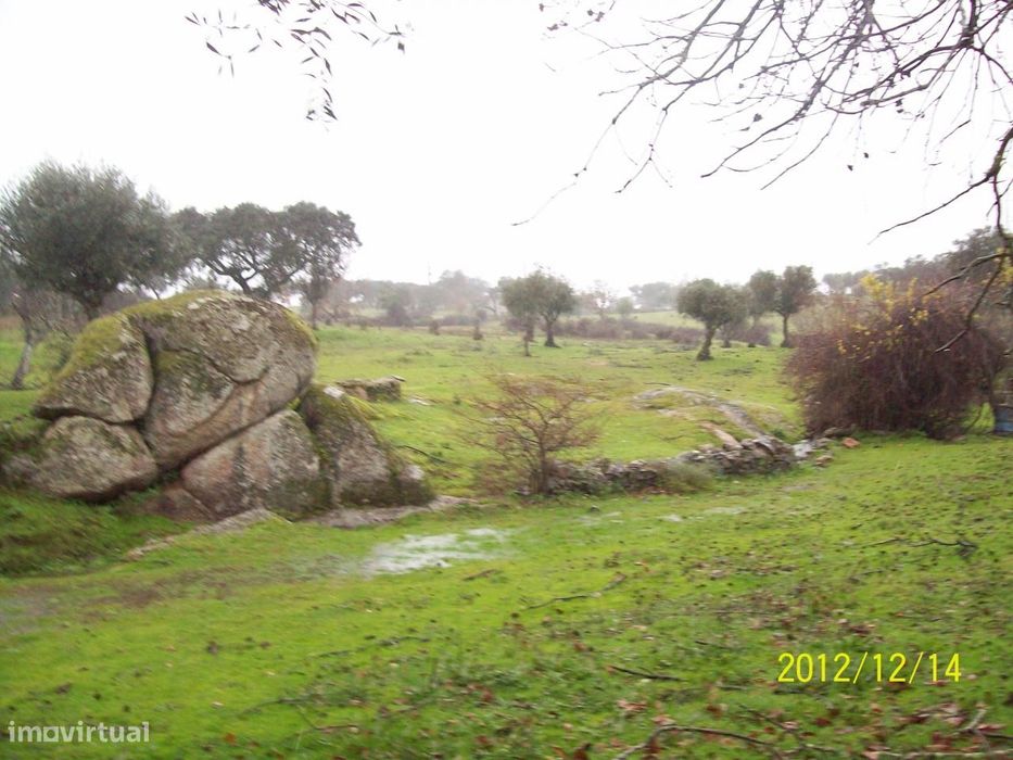 Herdade do Monte da Pedra.