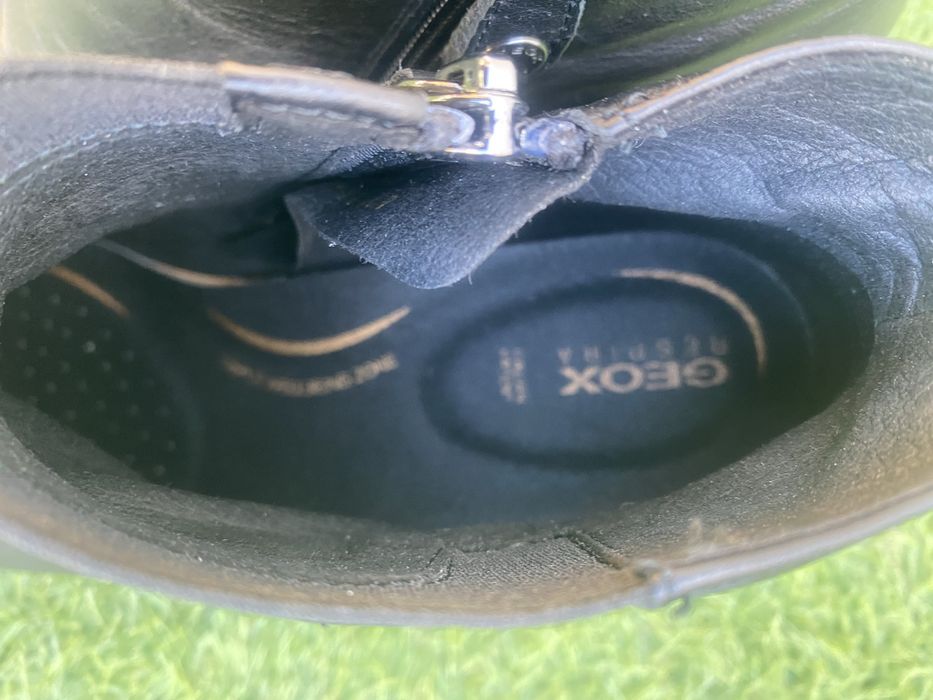 Botas Geox ( Acompanha caixa )