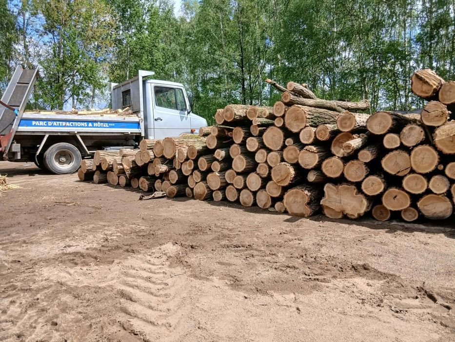 akacja drewno opałowe kominkowe