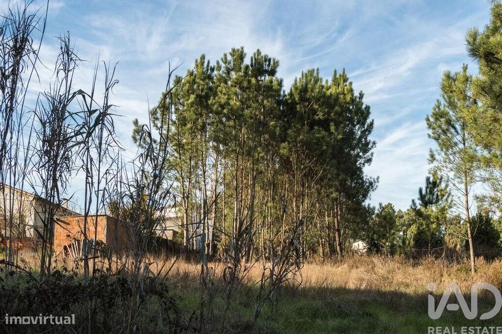 Terreno em Marinha Grande