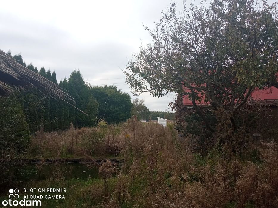 Działka budowlana z MPZP w atrakcyjnej cenie, ZŁOTNO Huta Jagodnica - Widok 4